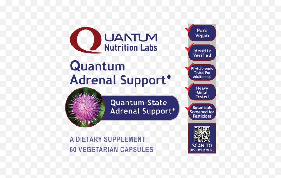 Nutritional Labs - Vertical Png,Adrenal Icon