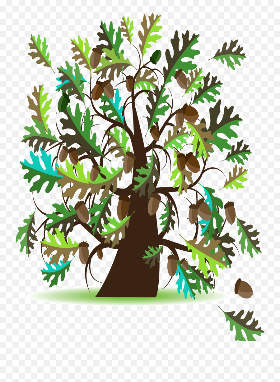 Download 48 Pm 5159679 Oak Tree Watermark - Oak Png Image Oak,Oak Icon