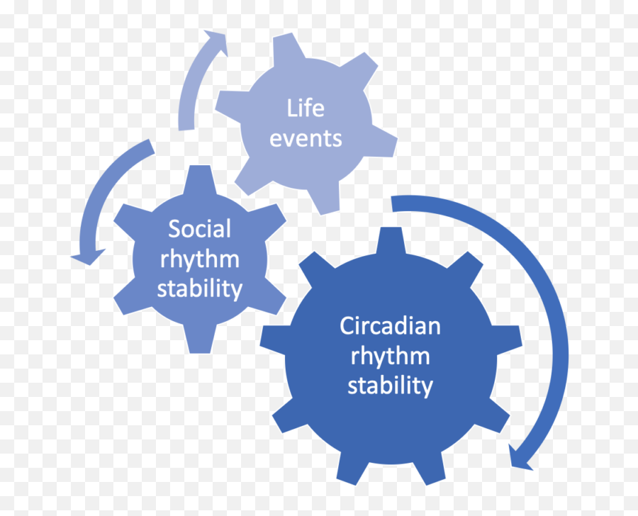 Summary Of Peer - Reviewed Research On Social Rhythm Dynamic Culture Leadership Model Png,Bipolar Icon