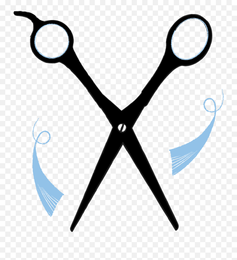 Salon X Full Service Hair - Taos New Mexico Cutting Sizer Logo Png,Cut Hear Scissor Icon