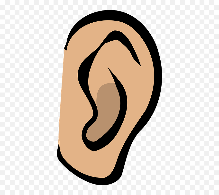 Transparent Listening Ear - Ear Clipart Png,Ear Png