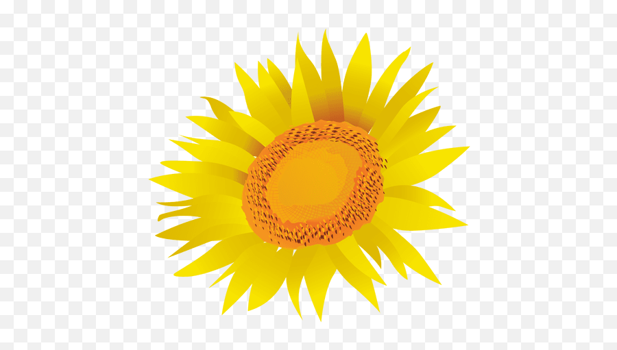 Transparent Png Svg Vector File - Mediawiki Flower,Transparent Sunflower