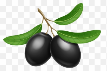 Library Of Vector Black And White Download Olives Png Files - Olives Clipart,Olive Png