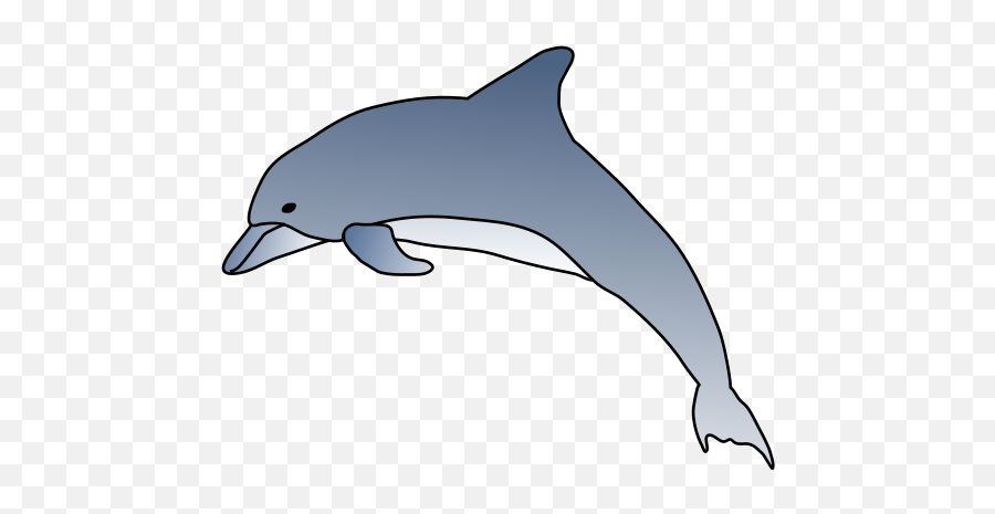 Dolphin Clipart Png Picture 1867446 - Hawaiian Spinner Dolphin Drawing,Dolphin Clipart Png