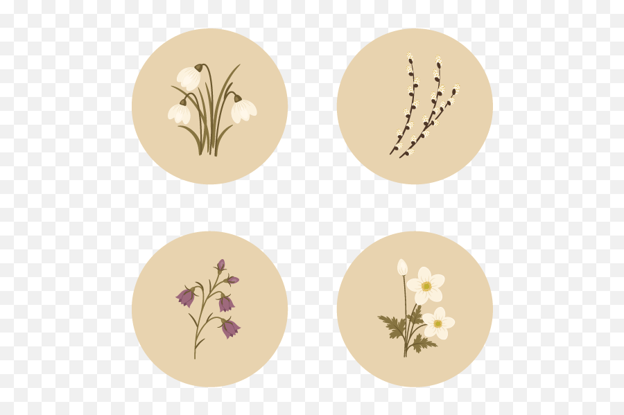 How To Create Spring Flowers From Basic Shapes In Adobe - Beige Flower Drawing Png,Flower Illustration Png