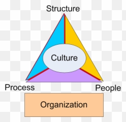 Organization Triangle - Culture Of png