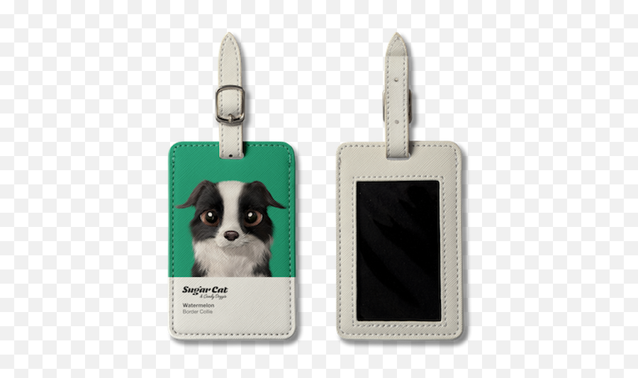 The Border Collie - Border Collie Png,Border Collie Png