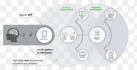 Walden Medical - Diagram png