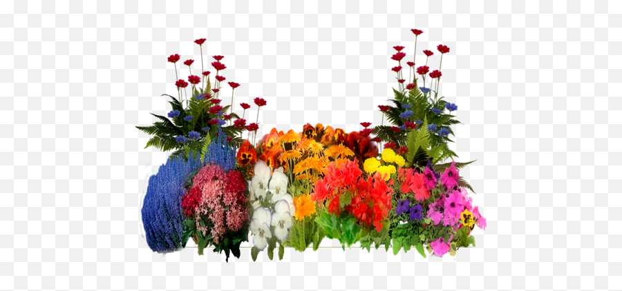 Interesting - Plants With Flowers Png,Garden Flowers Png