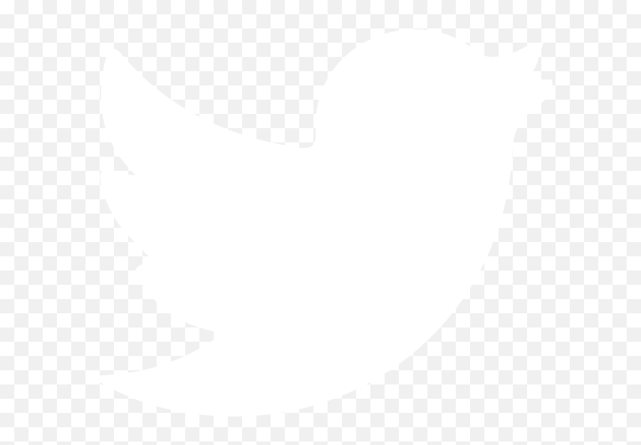 Download Transparent White Twitter Png - Twitter Logo Png White,Twitter Black Png