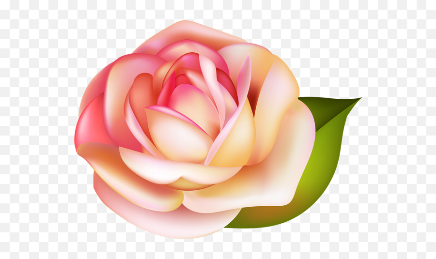 359 Rose Png Images Are Free To Download - Rose,Rose Png