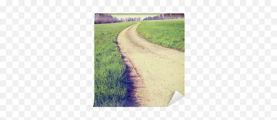 Dirt Road Wall Mural U2022 Pixers - We Live To Change Natural Landscape Png,Dirt Road Png