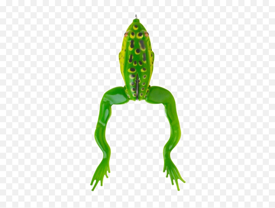 Jumping Frog Png Transparent Image Arts - Savage Gear 3d Frog,Iguana Transparent Background