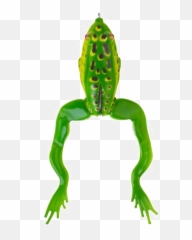 Jumping Frog Png Transparent Image Arts - Savage Gear 3d