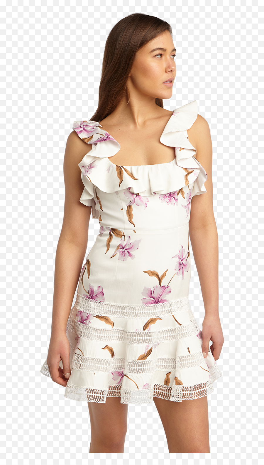 Leslie Floral Dress Ladies Clothing U0026 Dresses Bardot - Leslie Floral Dress Bardot Png,Leslie Transparent