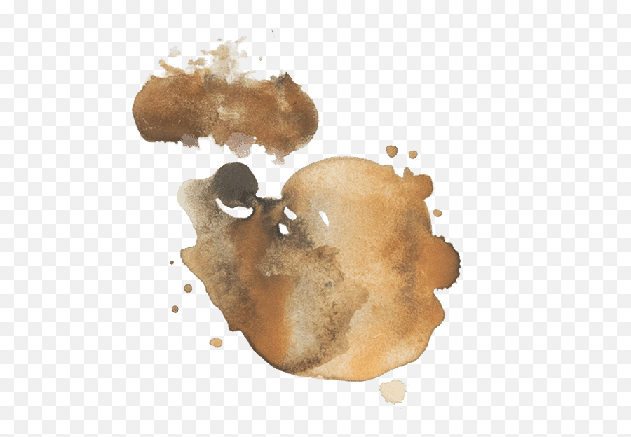 Coffee Splatter Stains - Stain Png,Coffee Stain Transparent