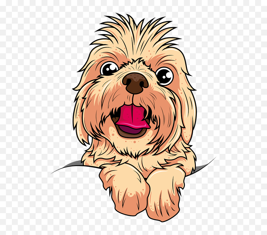 Shih Tzu Dog Pet - Caricatura De Shih Tzu Png,Shih Tzu Png