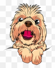 Shih Tzu Dog Pet - Caricatura De Shih Tzu Png,Shih Tzu Png