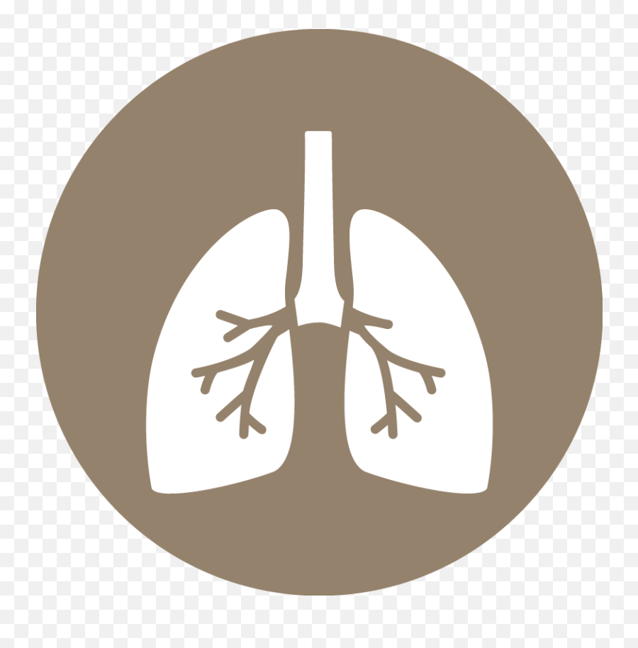 Product Line - Art Png,Respiratory Icon