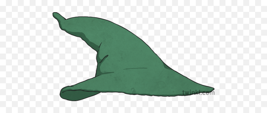 Wizard Hat 2 Illustration - Twinkl Common Bottlenose Dolphin Png,Wizard Hat Png