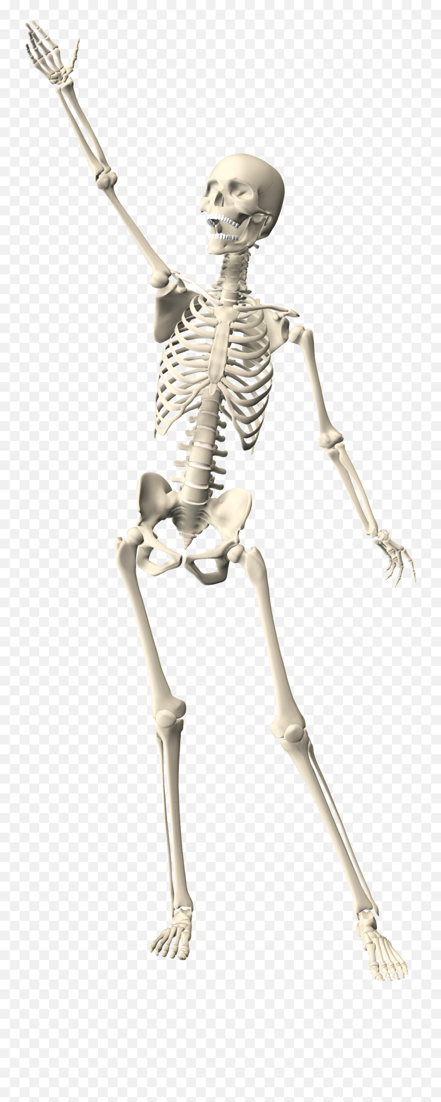 Drawn White Skeleton With Raised Hand Free Image Download - Skeleton Arms Raised Png,Skeleton Hand Icon