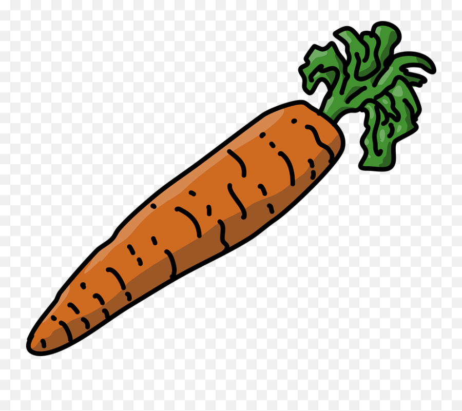 Carrot Vegetable Food - Free Vector Graphic On Pixabay Superfood Png,Carrot Icon Vector