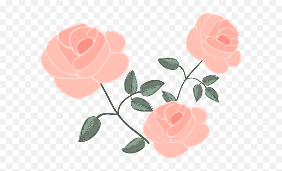 Free Rose 1191313 Png With Transparent Background Icon