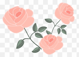 Free Rose 1191313 Png With Transparent Background