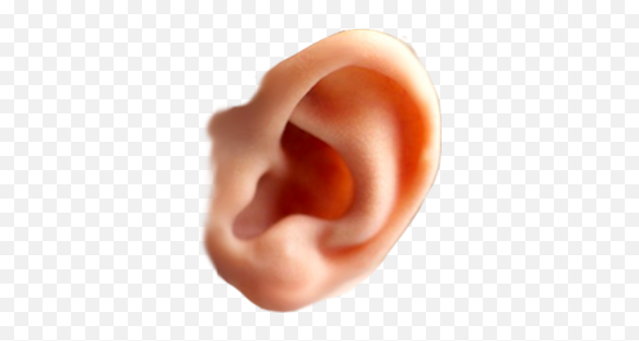 Ear Png Picture - Ear Png,Ear Png