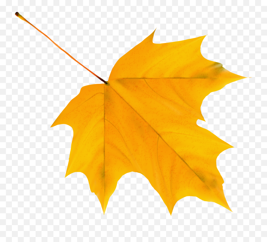 Autumn Falling Leaves Transparent Png - Yellow Fall Leaves Clip Art,Falling Leaves Transparent