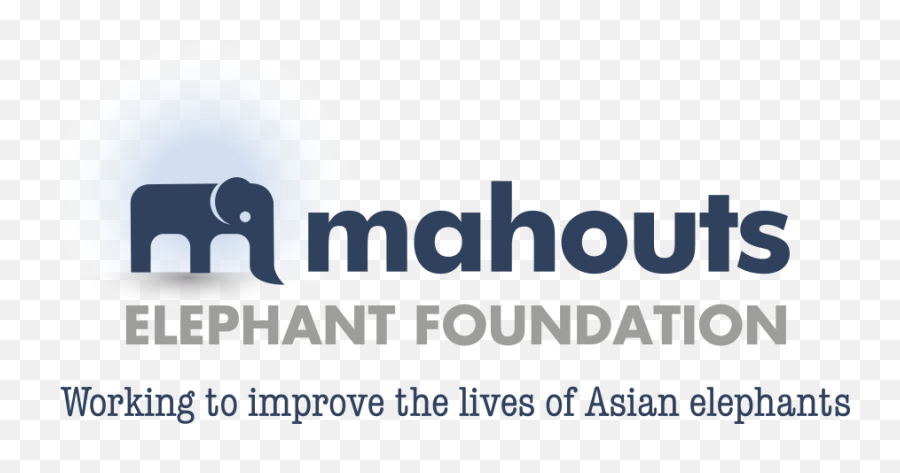 Mahouts Elephant Foundation - Asian Elephant Png,Elephant Logo Brand