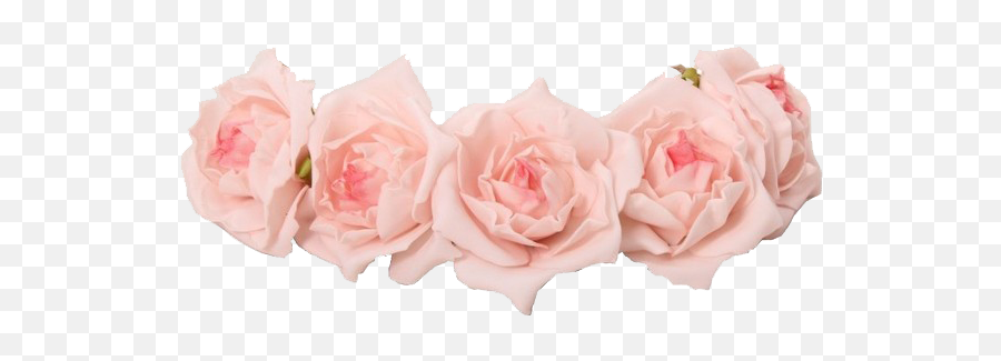 Coroas De Flores Png - Pastel Pink Flower Crown Transparent Pink Rose Crown Png,Flower Crown Png
