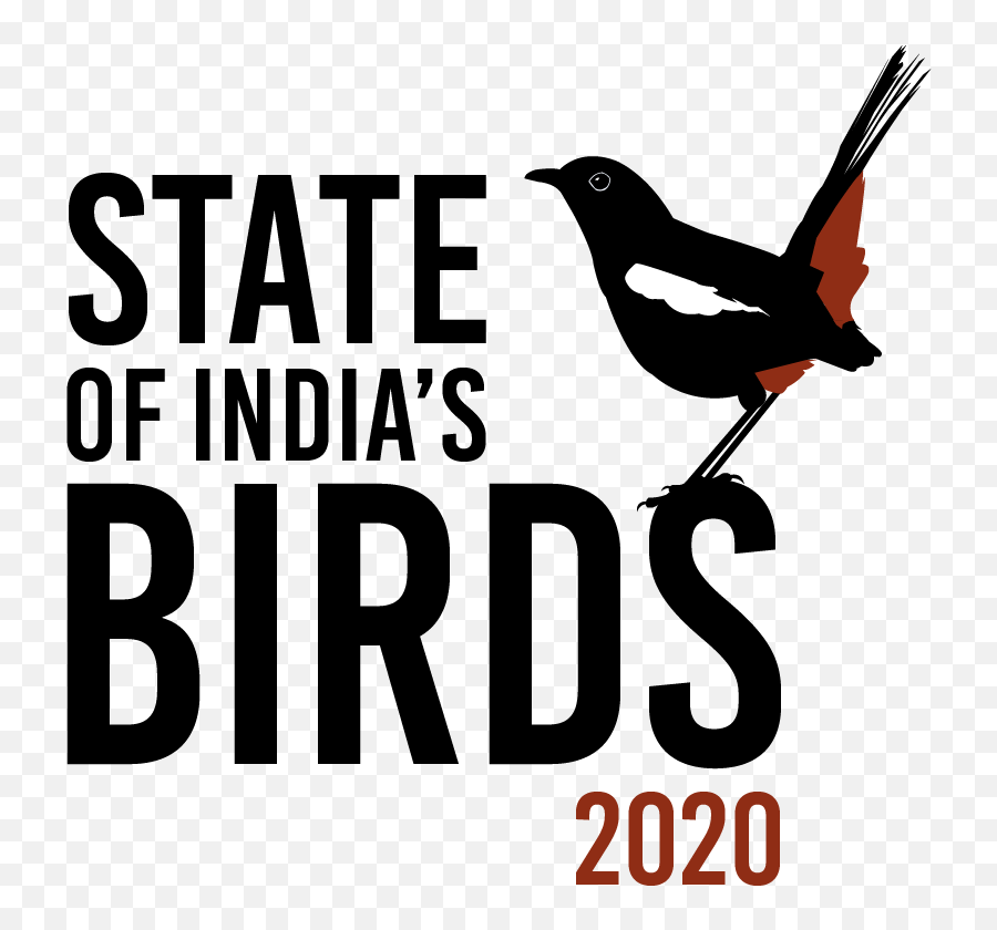 State Of Indiau0027s Birds First Comprehensive Assessment - Illustration Png,Bird Logo