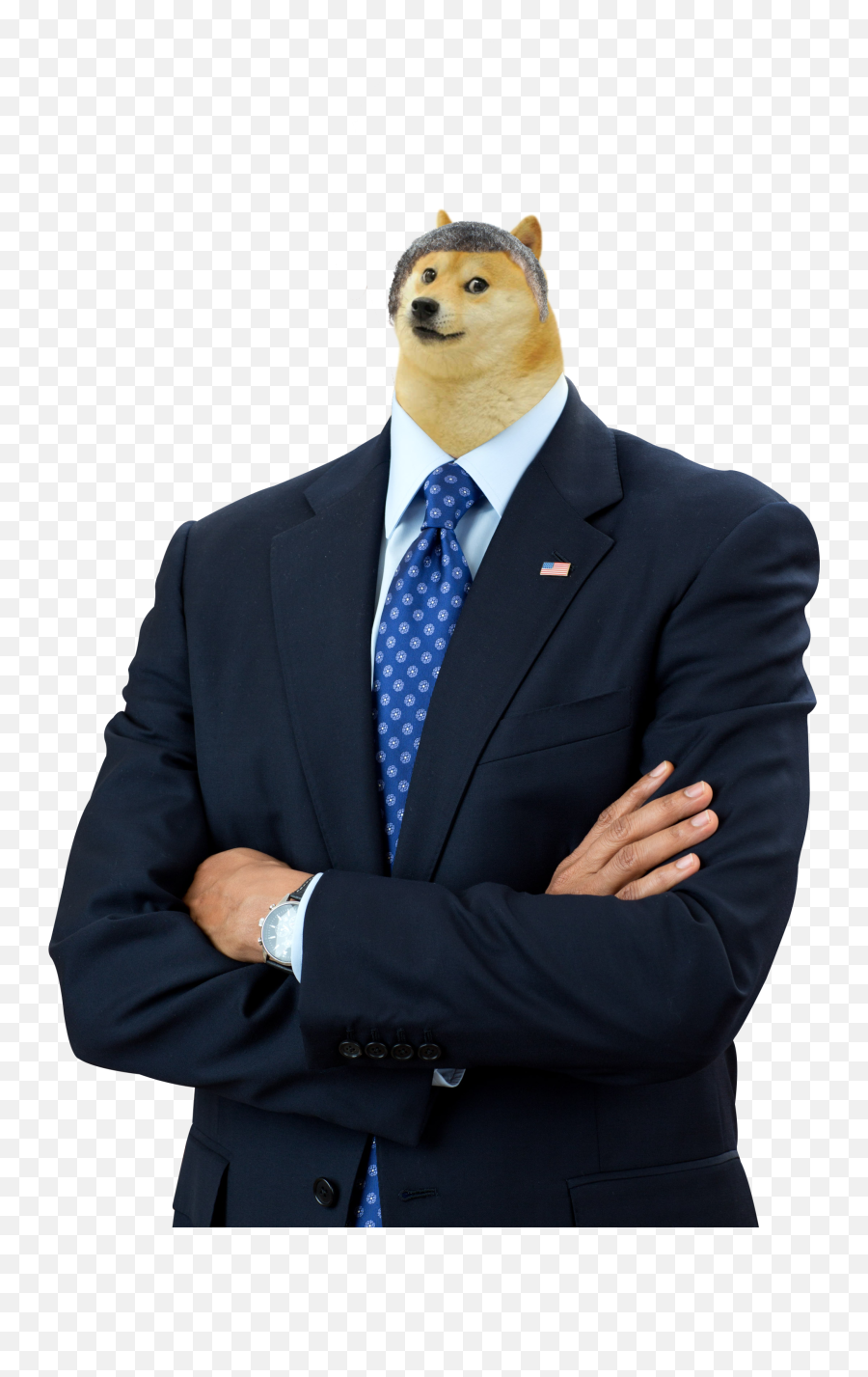 Obama Doge Png Dogelore - Obama Png Transparent,Man In Suit Png