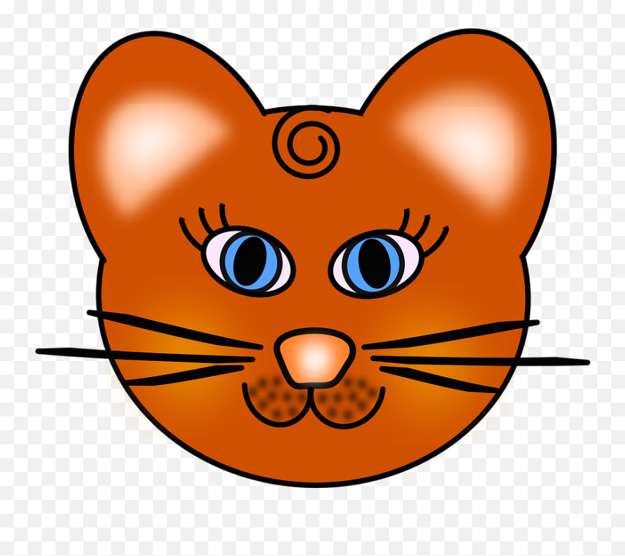 Cat Head Face - Cara De Un Gato Animado Png,Cat Head Png