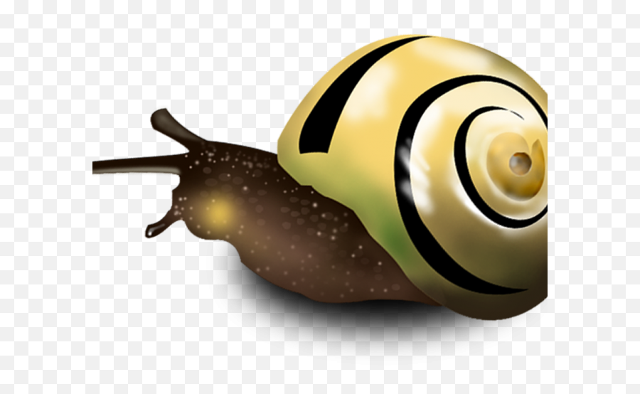 Drawn Snail Slug Transparent Png Image - Caracol Animado Creativo,Slug Png