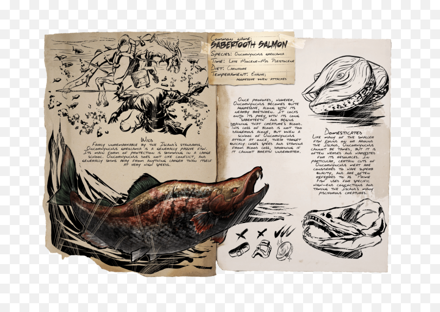 Sabertooth Salmon - Official Ark Survival Evolved Wiki Ark Sabertooth Salmon Png,Salmon Png