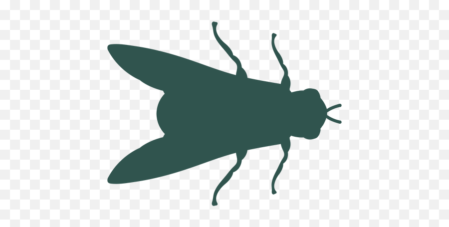 Insect Silhouette Bug Fly - Transparent Png U0026 Svg Vector File Siluetas De Insectos En Png,Transparent Bug