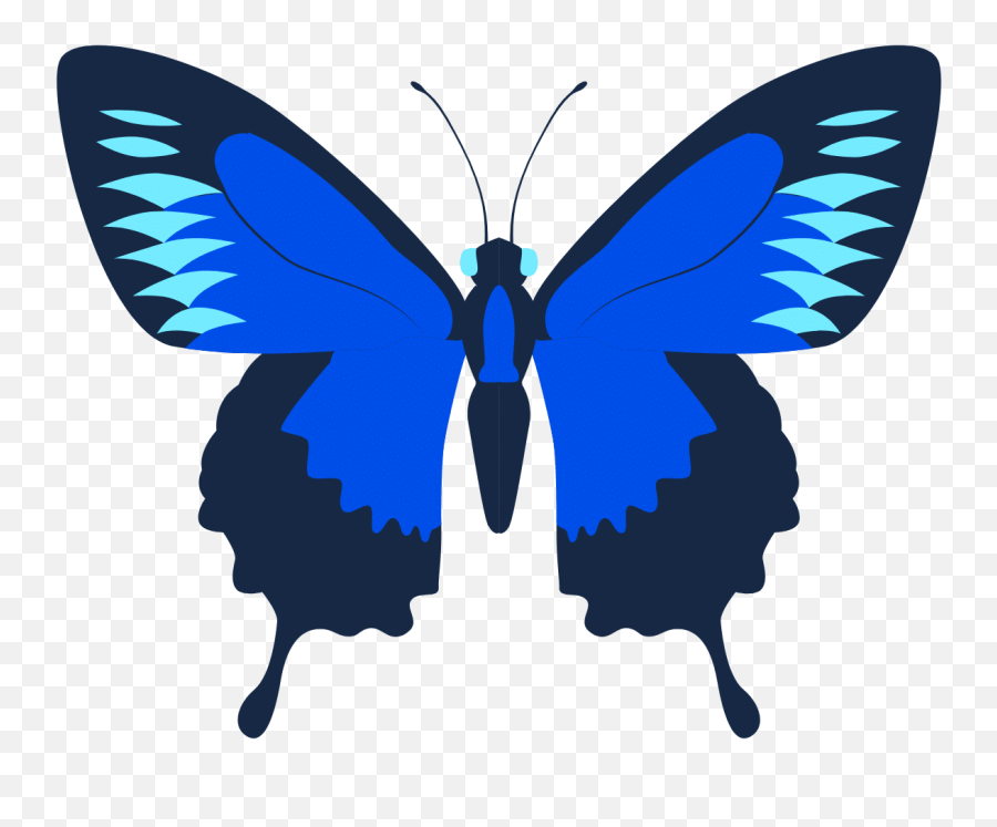 Laser Eye Surgery Dublin - Silhouette Butterfly Graphic Png,Laser Eye Png