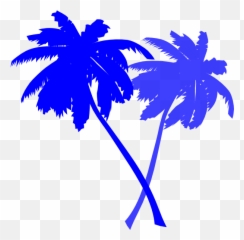 Palm Trees - Blue Background Transparent Png Vector