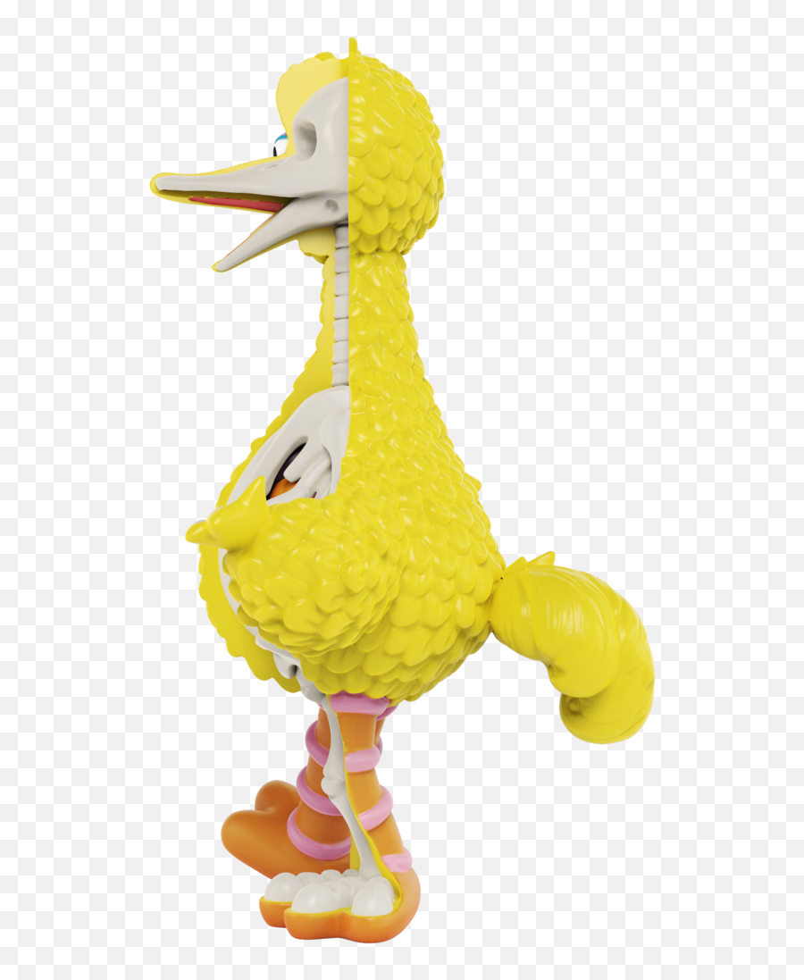 Jason Freeny X Mighty Jaxx Sesame Street - 10 Xxray Plus Big Bird Sesame Street Big Birds Png,Big Bird Png