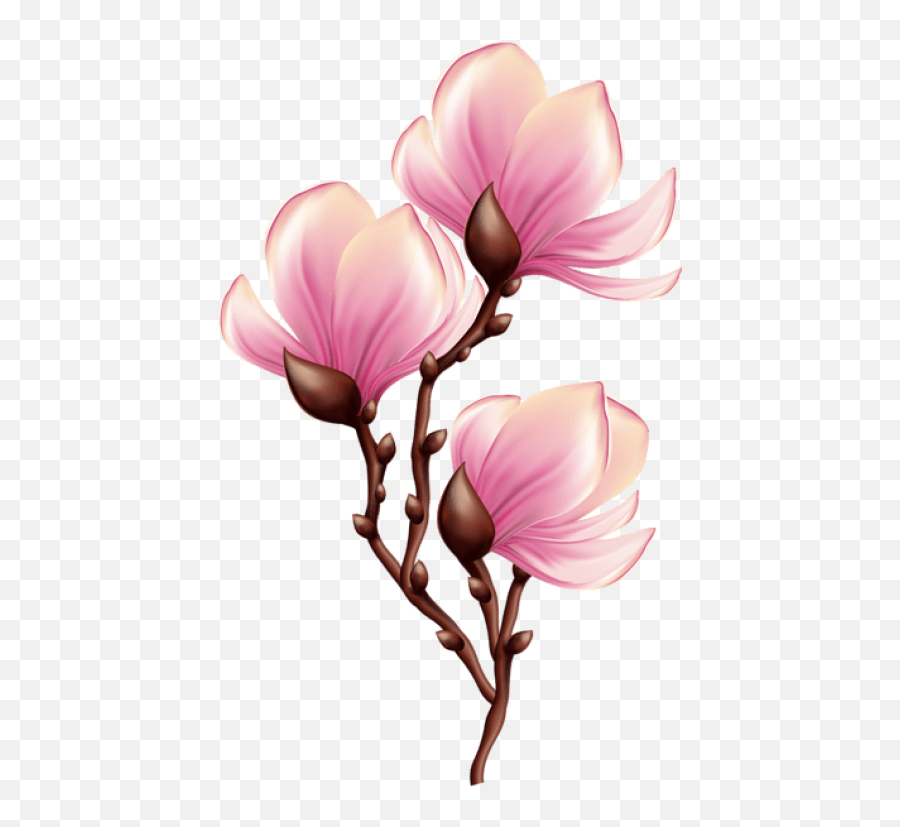 Beautiful Blooming Branch Transparent - Transparent Beautiful Clip Art Png,Beautiful Png