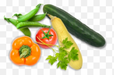 Jazzy Plants To Grow In Earthbox - Pea Pods Png,Vegetable Garden Png