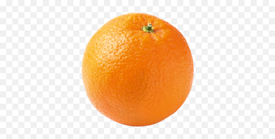 Orange - Bösch Boden Spies Blood Orange Png,Fruit Transparent