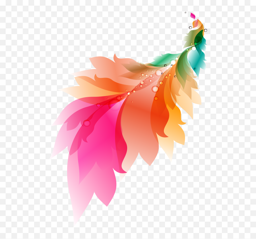 Phoenix Birds Bird Animals Animal - Vector Colorful Feather Png,Phoenix Bird Png