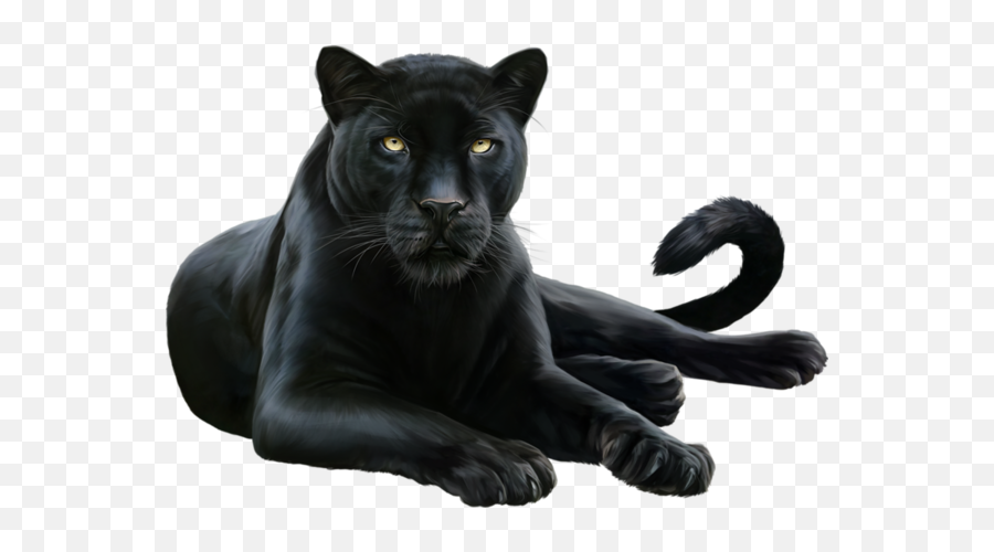 Download Leopard Felidae Black Cougar Panther Free - Black Panther Animal Png,Black Panther Transparent