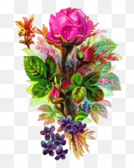 Free Flower Bouquet Transparent Background Download - Beautiful Images png