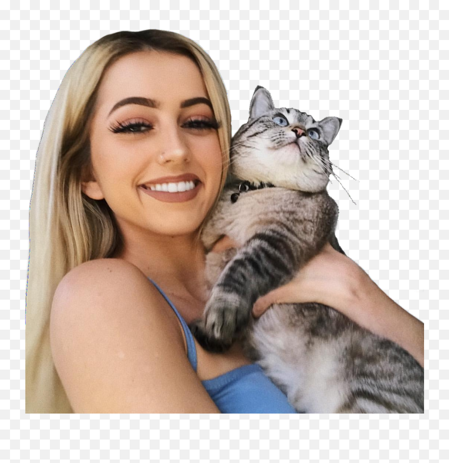 Transparent Editing Needs Lycia Faith - Image 6006922 On Domestic Cat Png,Faith Png