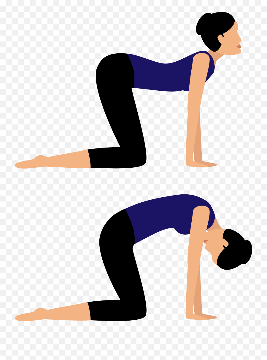 How To Flow One Of My Favorite Cardio Cooldown Yoga Png Icon