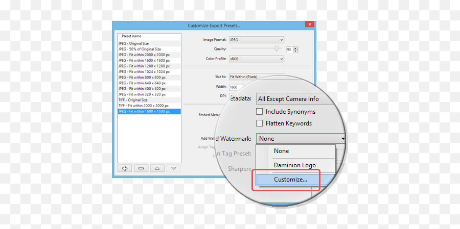 System Requirements Daminion U2014 An Effective Digital Asset - Vertical Png,Ie11 Search Magnifying Glass Icon